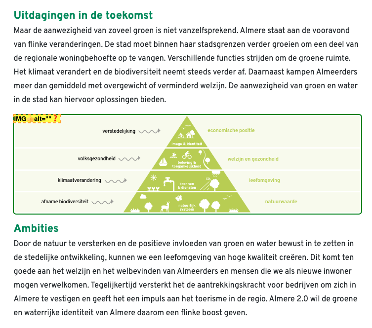 infographic piramide