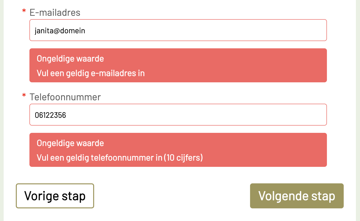 foutmeldingen onder invoervelden