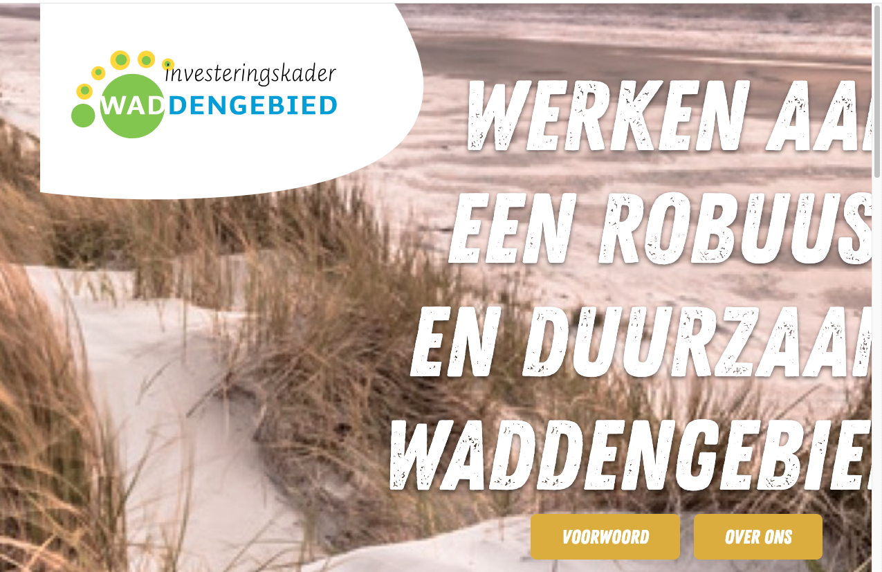 homepage content projecten deels afgesneden