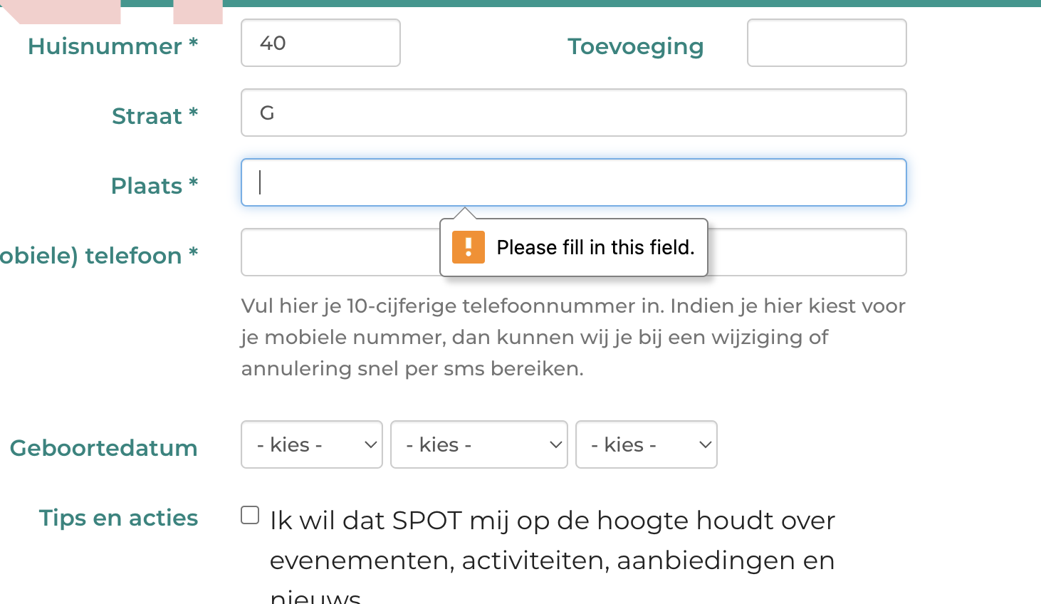 formulier met foutmelding tooltip