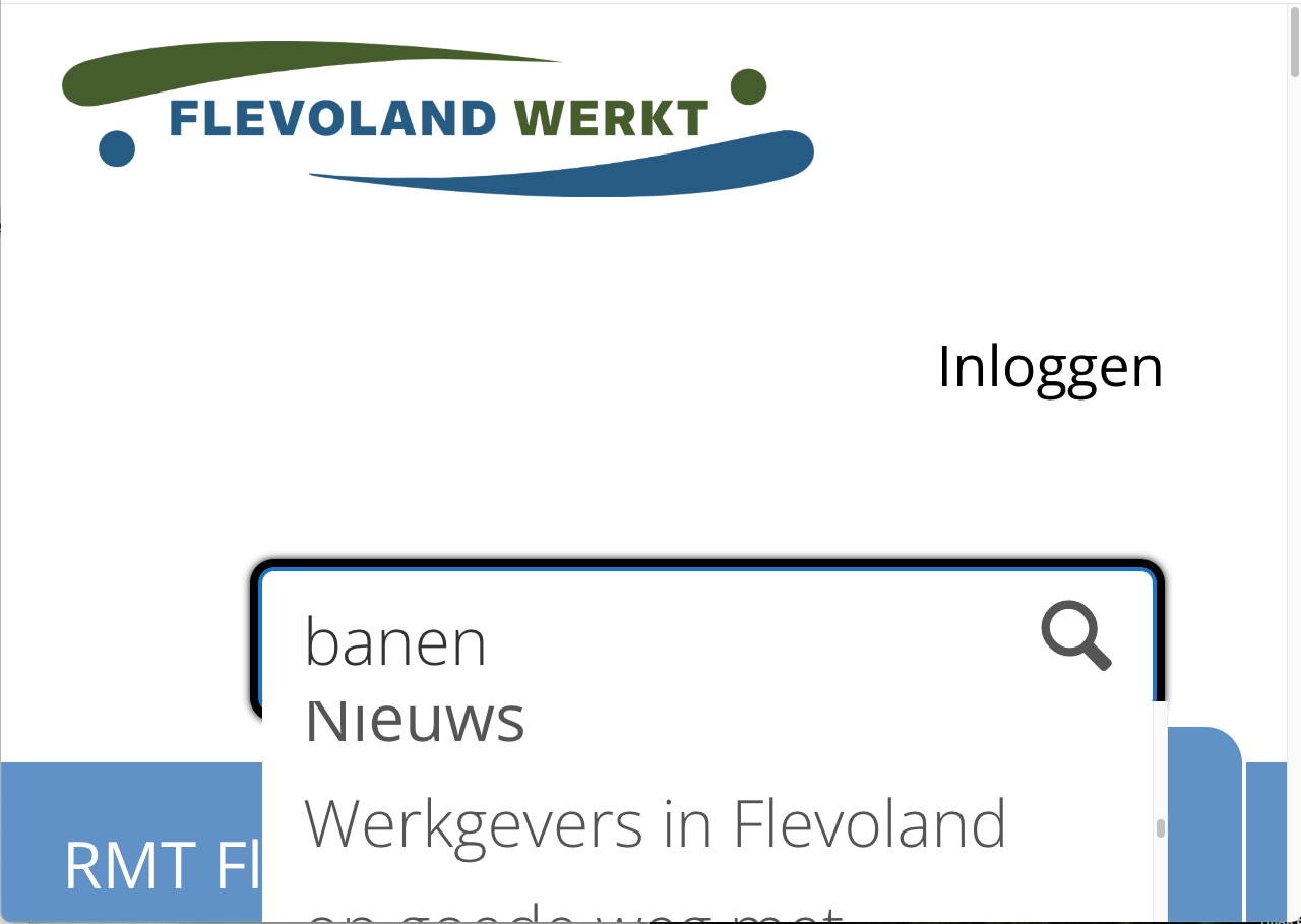 zoeksuggesties ingezoomd op 400%